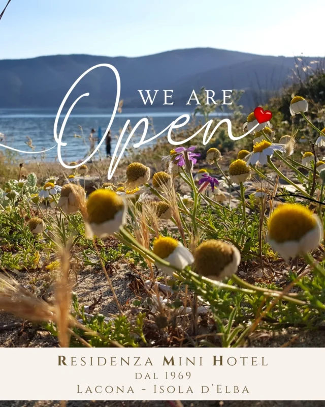 We are open! 
Con voi dal 1969
❤️
www.minihotelelba.it
.
#elba #opening #isoladelba #welcometoelba #residenzaminihotelelba #minihotelelba #ospitalitàitaliana #lacona #capoliveri