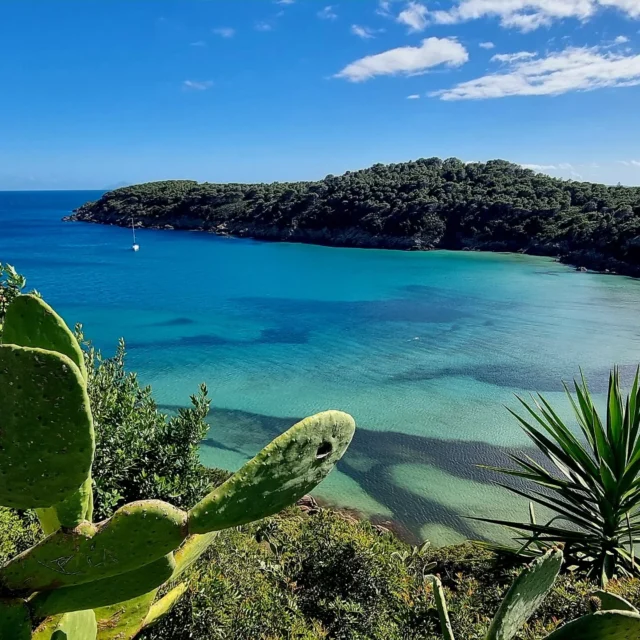 Buon 25 Aprile dalla Baia di Fetovaia 💙 Isola d'Elba.
www.welcometoelba.com 
.
#fetovaia #isoladelba #elba #costadelsole #Toscana #welcometoelba #inselelba #islandlifestyle #islands 
#seaview #panorama